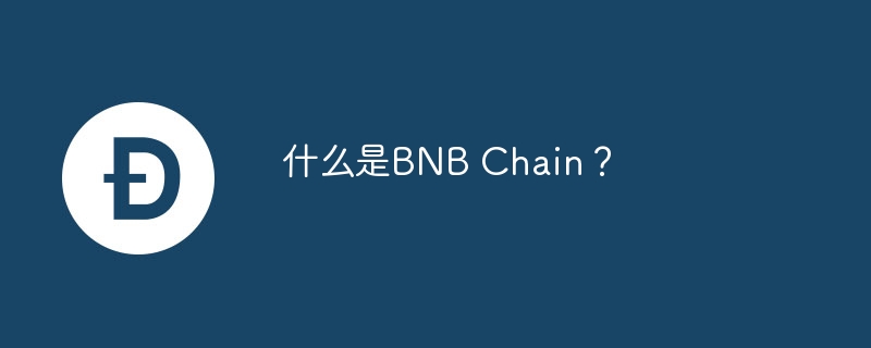 什么是BNB Chain？