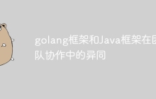 golang框架和Java框架在团队协作中的异同