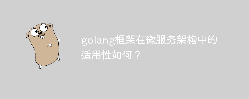 golang框架在微服务架构中的适用性如何？