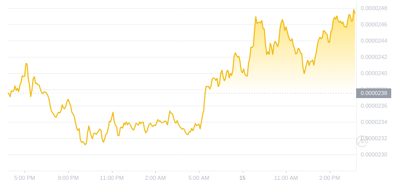 2024年07月15日Bonk币价格