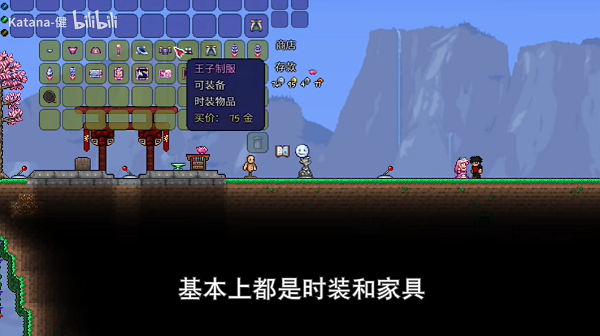 《泰拉瑞亚》公主入住条件是什么