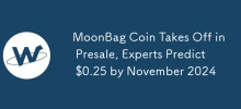 MoonBag Coin Takes Off in Presale, Experts Predict $0.25 by November 2024