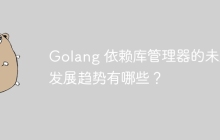 Golang 依赖库管理器的未来发展趋势有哪些?