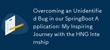 Overcoming an Unidentified Bug in our SpringBoot Application: My Inspiring Journey with the HNG Internship