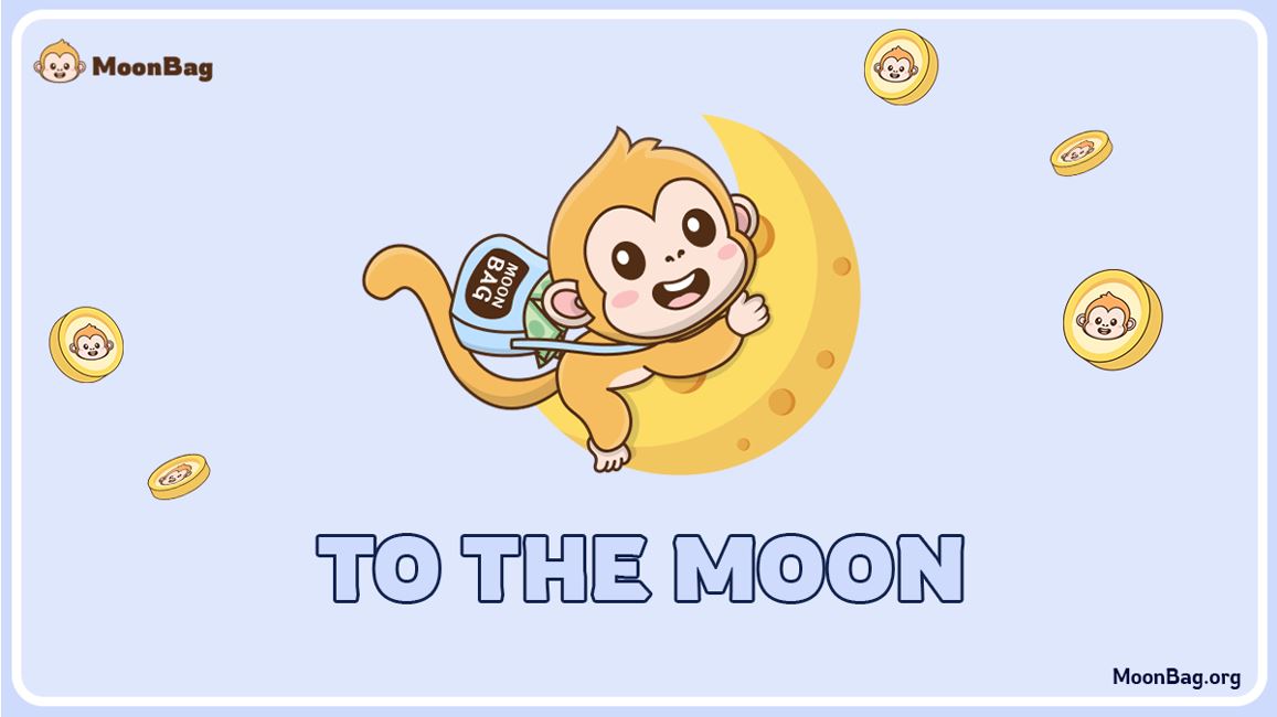 MoonBag Emerges as the Standout Crypto Presale Contender in 2024