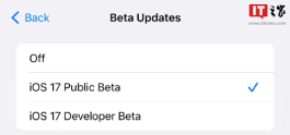 苹果 iOS / iPadOS 17.6 开发者预览版 Beta 4 发布
