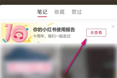 小红书查看足迹报告方法步骤 小红书怎么查看足迹报告