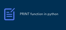 PRINT function in python