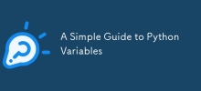 A Simple Guide to Python Variables