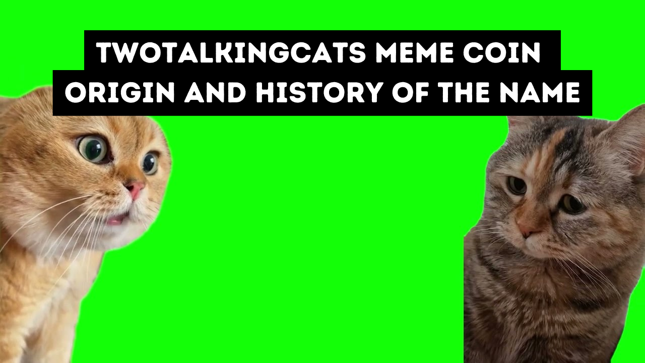 The TWOTALKINGCATS Meme Coin: Origin, Development, and Market Dynamics ...