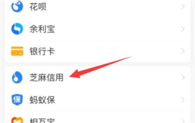 支付宝提芝麻信用分方法步骤 支付宝怎么提芝麻信用分