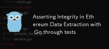 Asserting Integrity in Ethereum Data Extraction with Go through tests