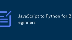 JavaScript to Python for Beginners