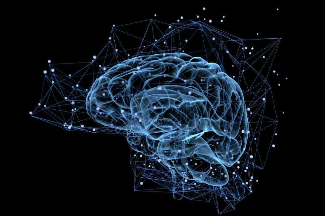 Comment le cerveau traite-t-il le langage ? L'équipe de Princeton analyse le modèle Transformer