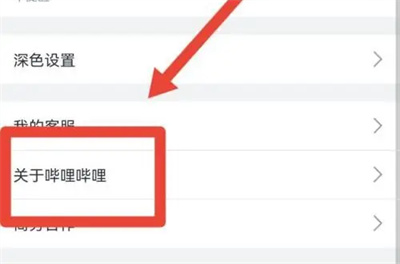 哔哩哔哩初始设置方法步骤 哔哩哔哩怎么恢复初始设置
