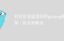 针对企业级项目的golang框架:优点和缺点
