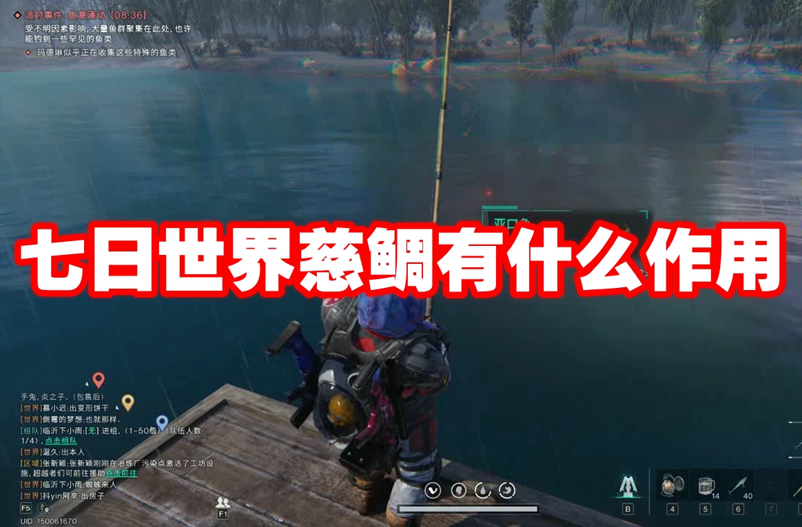 七日世界慈鲷有什么作用 七日世界慈鲷介绍