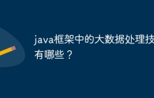 java框架中的大数据处理技术有哪些？
