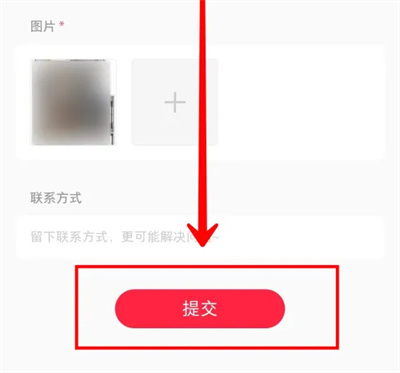 小红书在线反馈问题方法步骤 小红书怎么在线反馈问题