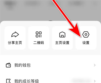 快手极速版开启弹幕方法步骤 快手极速版怎么开启弹幕