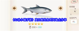 《心动小镇手游》真白鲑钓鱼时间地点分享