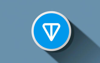 TON Coin : un guide complet de la crypto-monnaie liée à Telegram