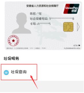 支付宝怎么查询养老保险缴费记录 支付宝查询养老保险缴费记录的方法