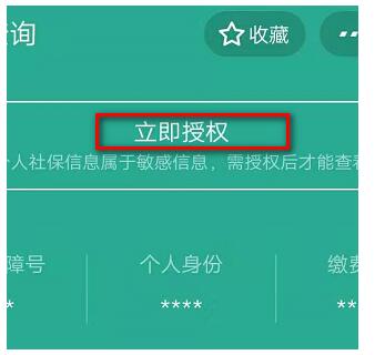 支付宝怎么查询养老保险缴费记录 支付宝查询养老保险缴费记录的方法