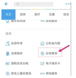 支付宝怎么查询养老保险缴费记录 支付宝查询养老保险缴费记录的方法