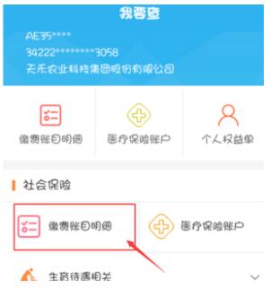 支付宝怎么查询养老保险缴费记录 支付宝查询养老保险缴费记录的方法
