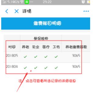 支付宝怎么查询养老保险缴费记录 支付宝查询养老保险缴费记录的方法