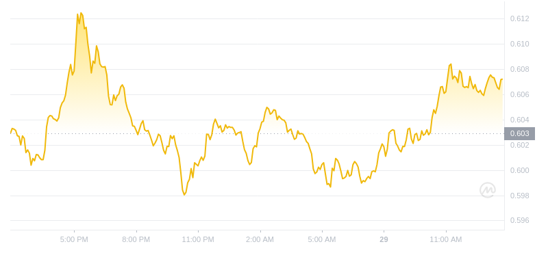 2024年07月29日瑞波币价格