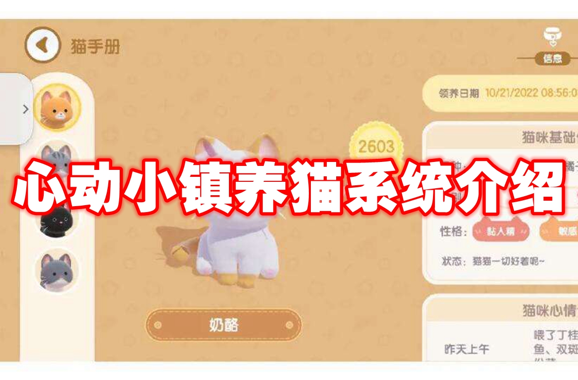 心动小镇养猫系统介绍 心动小镇养猫玩法攻略