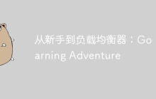 从新手到负载均衡器:Go Learning Adventure