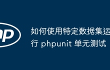 如何使用特定数据集运行 phpunit 单元测试