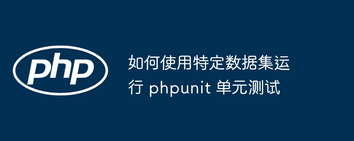 如何使用特定数据集运行 phpunit 单元测试