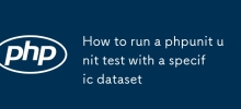 如何使用特定資料集執行 phpunit 單元測試
