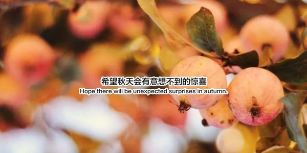 I hope there will be unexpected surprise pictures in autumn