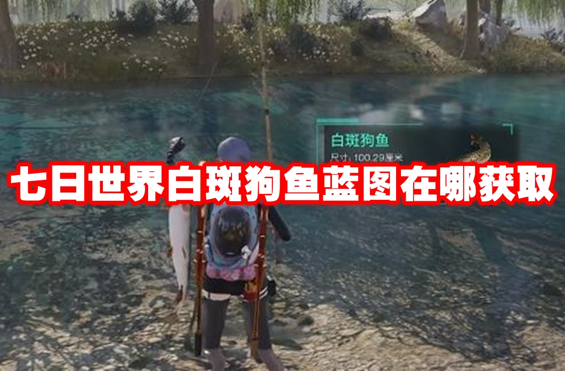 七日世界白斑狗鱼蓝图在哪获取 七日世界白斑狗鱼蓝图获取方法