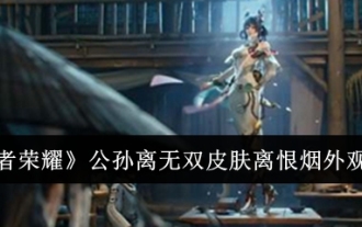 「王の栄誉」公孫李武双のスキン李ヘンヤンの登場リスト