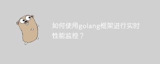 如何使用golang框架进行实时性能监控？