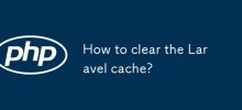 Laravel 캐시를 지우는 방법은 무엇입니까?