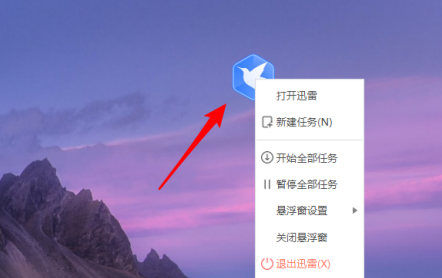 迅雷11怎么显示悬浮窗口 迅雷11显示悬浮窗口的方法