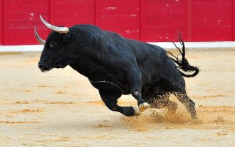 Capula Management 透露在市場低迷期間持有 5 億美元現貨比特幣 ETF
