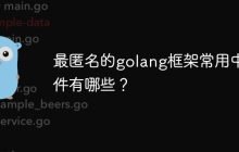 最匿名的golang框架常用中间件有哪些?