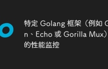 特定 Golang 框架(例如 Gin、Echo 或 Gorilla Mux)的性能监控