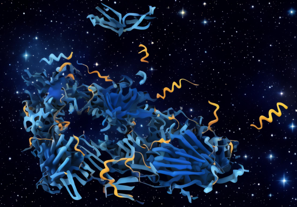 Sub-jurnal alam semula jadi, rangka kerja AI am pasukan Universiti Peking menjalankan ramalan struktur komprehensif untuk dok protein-protein, merapatkan jurang antara percubaan dan pengiraan