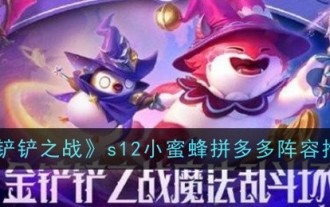 「金シャベルの戦い」S12 Little Bee Pinduoduo ラインナップおすすめ