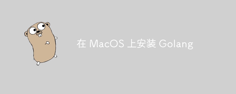 在 macos 上安装 golang