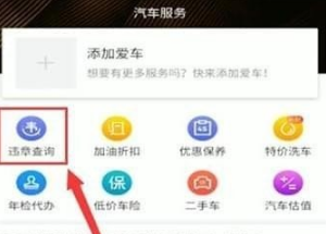 懂车帝违章在哪里查 懂车帝查询违章操作方法